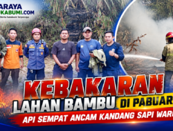 Kebakaran Lahan Bambu di Pabuaran, Api Sempat Ancam Kandang Sapi Warga