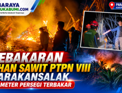 Kebakaran Lahan Sawit PTPN VIII Parakansalak, 500 Meter Persegi Terbakar
