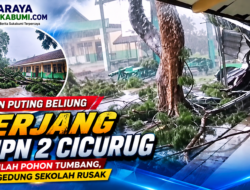 Angin Puting Beliung Terjang Halaman SMPN 2 Cicurug, Sejumlah Pohon Tumbang