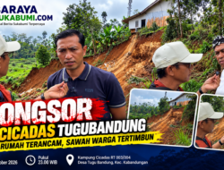 Longsor di Cicadas Tugu Bandung, Dua Rumah Terancam dan Sawah Warga Tertimbun